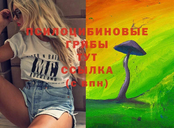 дмт Кулебаки