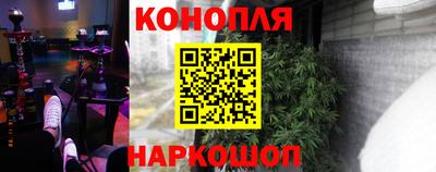 шишки Ипатово