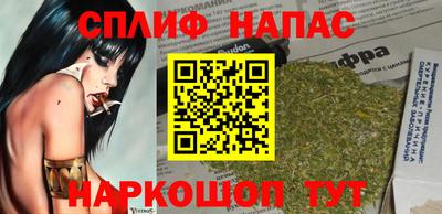 a pvp Камышлов