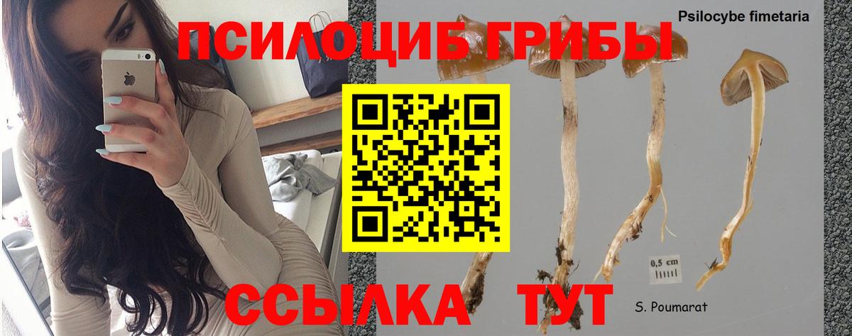 Галлюциногенные грибы мицелий Нижний Новгород
